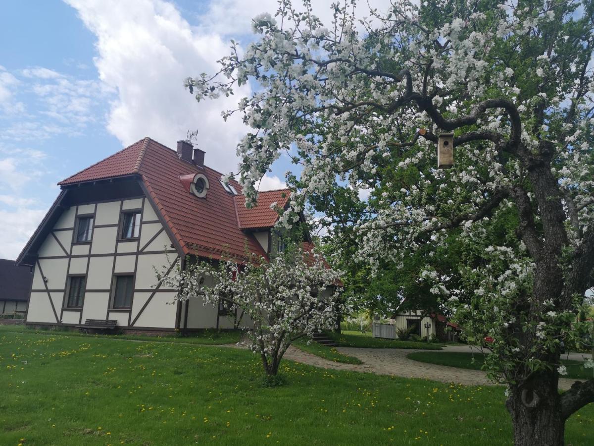 Hotel Senlici Елгава Экстерьер фото